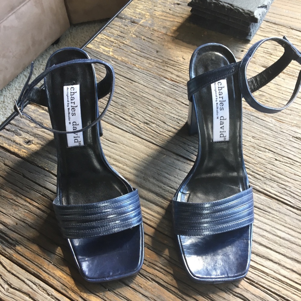 Charles David metallic navy heels